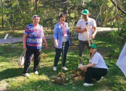 В Волжском юные художники и ветераны превратили проспект Дружбы в аллею
