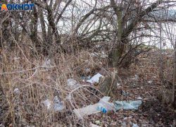 Волжане признались в интересе к проблемам СНТ