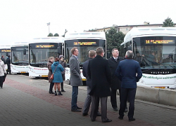 Самая крупная партия новых автобусов в истории Волжского выехала на маршруты