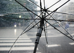 Ребенок, пенсионерка и мужчина: пешеходы попали под колеса автомобилей в Волгограде 