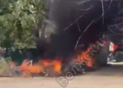 Сухие ветки могли стать причиной пожара у мусорных баков в Волжском