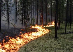 На территории Волгоградской области объявили экстренное предупреждение 