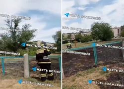 В Волжском загорелась школа из-за сухостоя