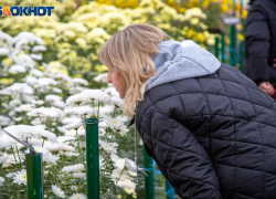Нельзя стричь ногти: приметы в Волжском