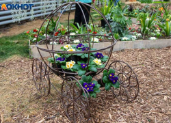 Весна приходит в Волжский: температура воздуха заметно растет