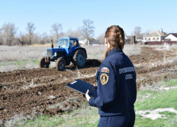 Волгоградская область начала весенние проверки нашествия саранчи