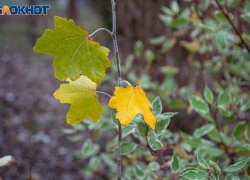День Катерины Санницы: древние обычаи, погодные приметы и запреты