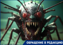 Жителей Волжского атаковали противные насекомые