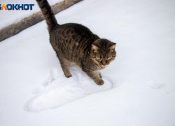 Солнечная суббота ожидает волжан