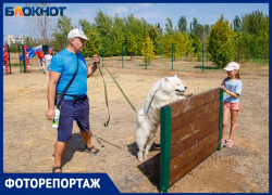 «Собака должна быть культурной»: в Волжском открыли новую площадку для выгула собак