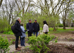 Обновят скверы, уберут деревья: что ждет зеленые зоны Волжского