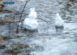 График магнитных бурь на январь для волжан
