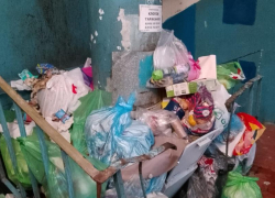 Два месяца без уборки: волжане задыхаются от вони в собственных подъездах