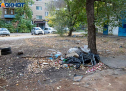 Камеры на стихийных свалках помогли за сутки выявить нарушителей в Волжском