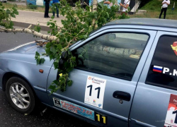 Ветка пробила лобовое стекло: девушка-водитель в реанимации в Волгограде