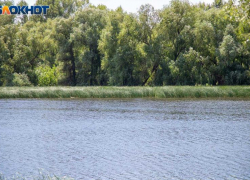 Волжанам нельзя обижать пауков в среду – к финансовым трудностям