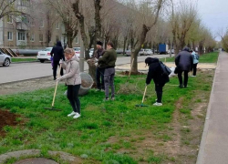 Более 1200 кубометров листвы и мусора вывезли на полигон в Волжском
