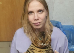 Как извлеченные из собаки трусы стали причиной развода: волжский ветеринар поделился самыми странными историями