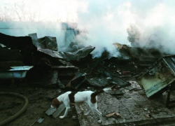 В Волжском горел металлический вагончик