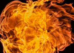 В Волжском СНТ произошел пожар