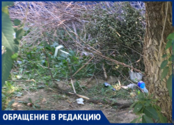 Горели и снова будут? Волжская УК организовала очередную свалку ветвей