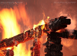 В Волжском огонь уничтожил дачный сарай