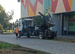 У ЦУМа в Волжском начали массово удалять ёлки