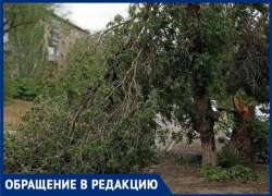 Последствия ночного урагана до сих пор не убрали в Волжском
