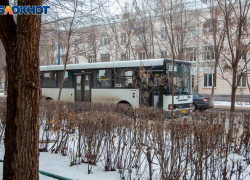 Волонтеров для поездки в Анапу собирают в Волжском