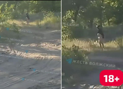 Онанист или энурезник? Мужчину без белья на озере сняли на видео (18+)