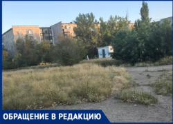 Высокая трава и амброзия в 30‑м микрорайоне Волжского: жители бьют тревогу