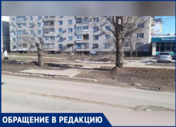 После дождя пешеходная дорожка в Волжском превращается в месиво