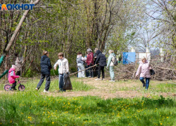 2 тысячи деревьев и 594 организации: в Волжском подвели итоги генеральной уборки