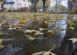 В Волжском будет пасмурно и ветрено: погода на 24 ноября