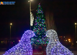 Молодежная елка в Волжском: теплый вечер, общение и рождественское настроение