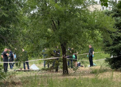В Волжском в парке обнаружено тело мужчины