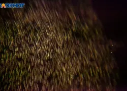 Эмоции выйдут из-под контроля: гороскоп на 10 января