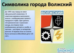 В Волжском прошла VII дистанционная конференция