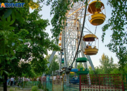 В Волгоградской области ввели ограничения на посещение лесов из-за обработки от вредителей 
