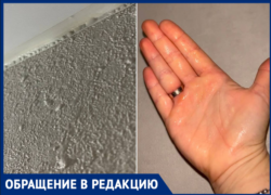 «Мы живем не в Африке»: в Волжском жильцы замерзают в сырости, а УК советует «ждать до весны»