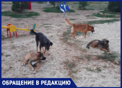 «Детям страшно играть во дворе из-за собак», - волжанка
