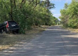 Близ Волжского мужчина влетел в дерево: есть пострадавшие