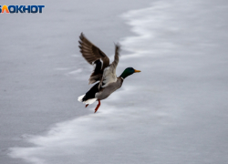 Резкая смена погоды в Волжском: антициклон принесет морозы и гололёд