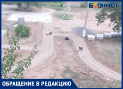 «Размножаются и кидаются на детей»: волжане жалуются на бездомных собак за окном