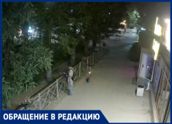 В Волжском мужчина выдрал цветы у магазина: видео