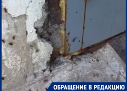 "Стены девятиэтажного дома кишат тараканами", - волжанка