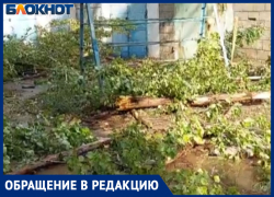 Десятки сухих веток обрушились в Волжском: видео