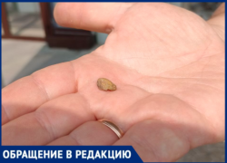 Булочка с начинкой из камней и полное равнодушие со стороны директора «Пятерочки» в Волжском