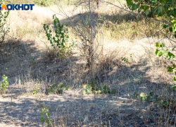 Осень без дождя: что приготовила погода волжанам 16 сентября