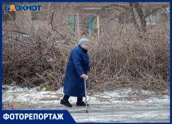 Волжский тонет в спиленных ветках: фото дворов, превратившихся в иссохшие джунгли